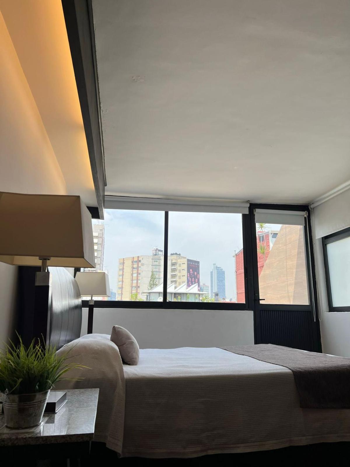 Suites Havre Meksika Dış mekan fotoğraf